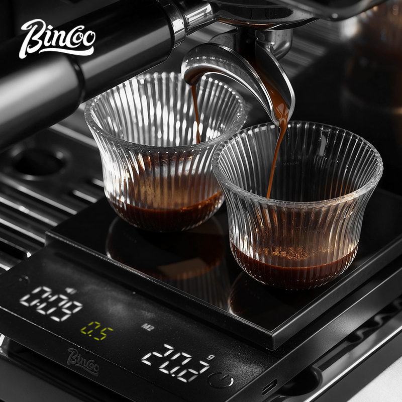 BINCOO Digital Coffee Scale 0. - огляд і ціна Kitchen Timer Digital