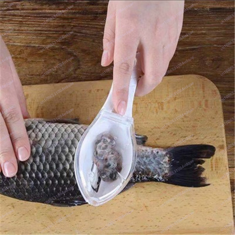 Popular Fish Scale Scraping Ar - огляд і ціна Kitchen Gadgets Popular